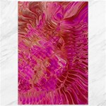 Tondo Canvas 20  x 30 