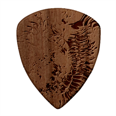 Tondo Square Wood Guitar Pick Holder Case And Picks Set from ArtsNow.com Pick