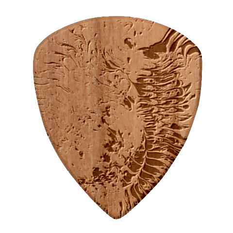Tondo Wood Guitar Pick (Set of 10) from ArtsNow.com Front