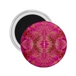 Tondo symmetry 2.25  Magnets