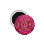 Tondo symmetry 1.75  Magnets