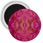 Tondo symmetry 3  Magnets
