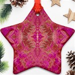Tondo symmetry Ornament (Star)