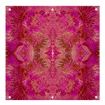 Tondo symmetry Banner and Sign 4  x 4 