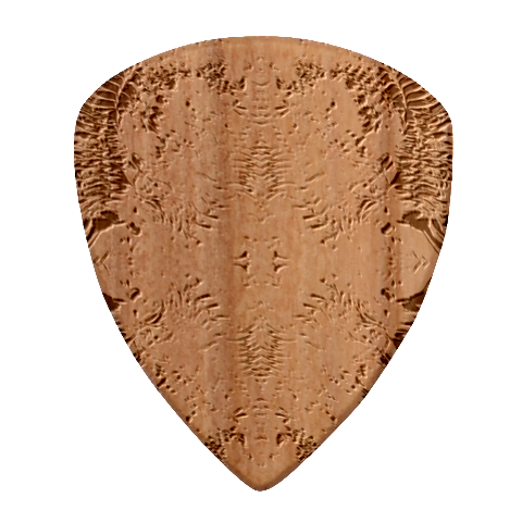 Tondo symmetry Wood Guitar Pick (Set of 10) from ArtsNow.com Front