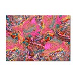 Collage  Sticker A4 (100 pack)