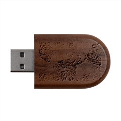 Collage  Wood Oval USB Flash Drive from ArtsNow.com USB