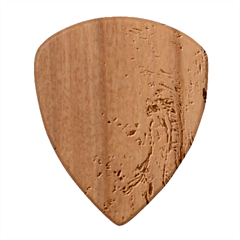 Pink blend Wood Guitar Pick (Set of 10) from ArtsNow.com Front
