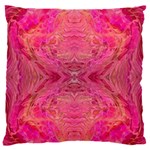 Pink Pour  18  Baby Flannel Cushion Case (Two Sides)