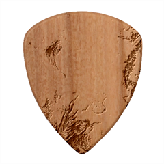 Blue flow Wood Guitar Pick (Set of 10) from ArtsNow.com Front