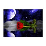 moonlight_rose Sticker A4 (10 pack)