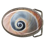 Unique Seashell   Belt Buckle