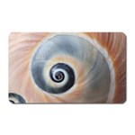 Unique Seashell   Magnet (Rectangular)