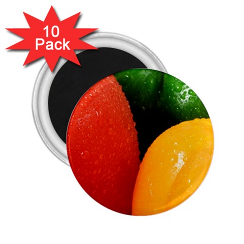 Three Colors 2.25  Magnet (10 pack) from ArtsNow.com Front