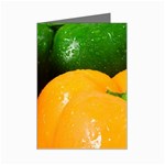 Three Colors Mini Greeting Cards (Pkg of 8)