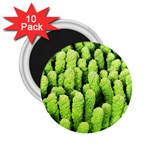 Microfibre cloth 2.25  Magnet (10 pack)