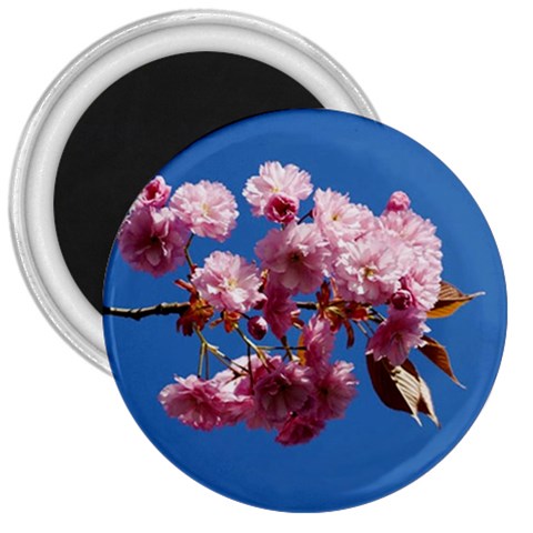 Japanese flowering cherry 3  Magnet from ArtsNow.com Front