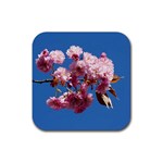 Japanese flowering cherry Rubber Square Coaster (4 pack)