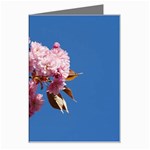 Japanese flowering cherry Greeting Card