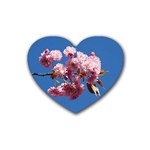 Japanese flowering cherry Rubber Coaster (Heart)