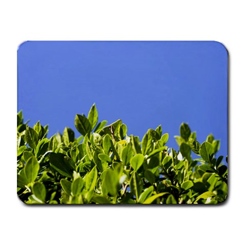 Hedge  Small Mousepad from ArtsNow.com Front