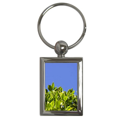 Hedge  Key Chain (Rectangle) from ArtsNow.com Front