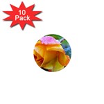 Orange Rose   1  Mini Magnet (10 pack) 