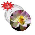 Lotus Flower Long   2.25  Button (100 pack)