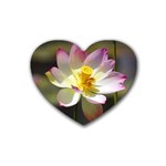 Lotus Flower Long   Heart Coaster (4 pack)