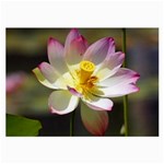 Lotus Flower Long   Glasses Cloth (Large)