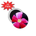 Antina Flower  1.75  Magnet (10 pack) 