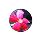 Antina Flower  Hat Clip Ball Marker (4 pack)