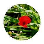 Anemone Flower   Ornament (Round)