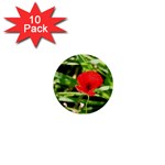 Anemone Flower   1  Mini Button (10 pack) 