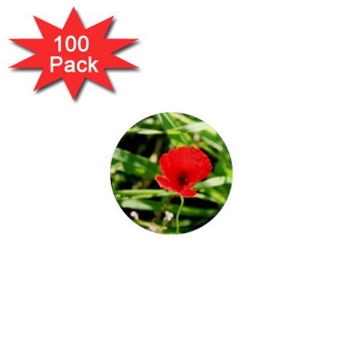 Anemone Flower   1  Mini Magnet (100 pack)  from ArtsNow.com Front