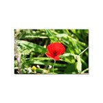 Anemone Flower   Sticker Rectangular (100 pack)