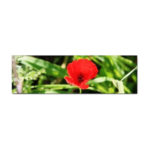 Anemone Flower   Sticker Bumper (10 pack) from ArtsNow.com Front
