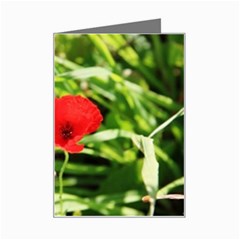 Anemone Flower   Mini Greeting Card from ArtsNow.com Left