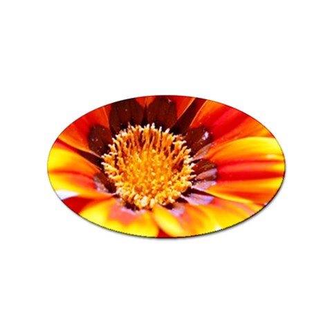 Annual Zinnia Flower   Sticker Oval (10 pack) from ArtsNow.com Front