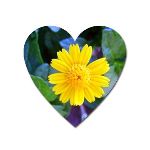 A Yellow Flower  Magnet (Heart) from ArtsNow.com Front