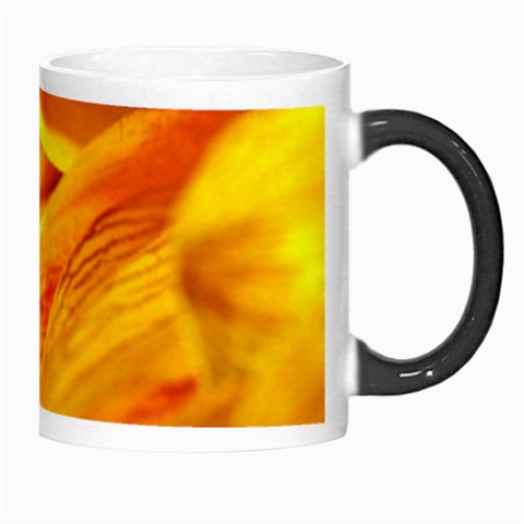 Yellow Sunflower 1   Morph Mug from ArtsNow.com Right