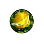 Yellow Rose  Hat Clip Ball Marker (4 pack)