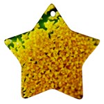 Yellow Flower Stars   Ornament (Star)