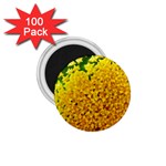 Yellow Flower Stars   1.75  Magnet (100 pack) 