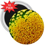 Yellow Flower Stars   3  Magnet (10 pack)