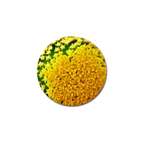 Yellow Flower Stars   Golf Ball Marker (4 pack) from ArtsNow.com Front