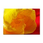 Yellow Flower Front  Sticker A4 (100 pack)
