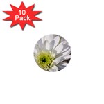 White Flower 1   1  Mini Button (10 pack) 
