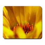 Yellow Color Flower   Large Mousepad