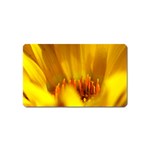 Yellow Color Flower   Magnet (Name Card)